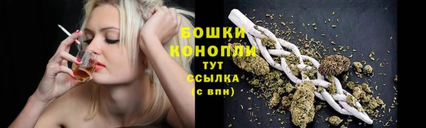 прущие грибы Балабаново