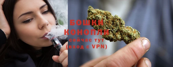 прущие грибы Балабаново