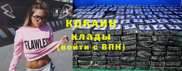 прущие грибы Балабаново